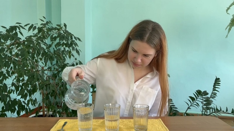 В гостях у ученого..